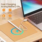 Stylus Pen for iPad(2018-2025)-13 Mins Fast Charge with Tilt Sensitivity & Palm Rejection for iPad 11/10/9/8/7/6th Gen, Air 7/6/5/4/3/M3/M2, Pro 13"/12.9"/11"/M4, Mini 7/6/5th,White